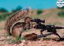 a la guerre!