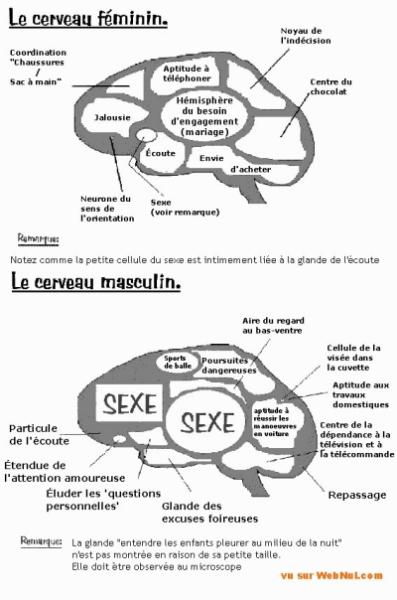 c souvent véridique
