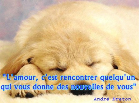 bon courage