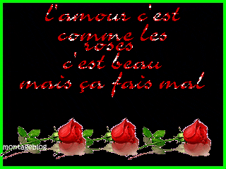 cela est veridique